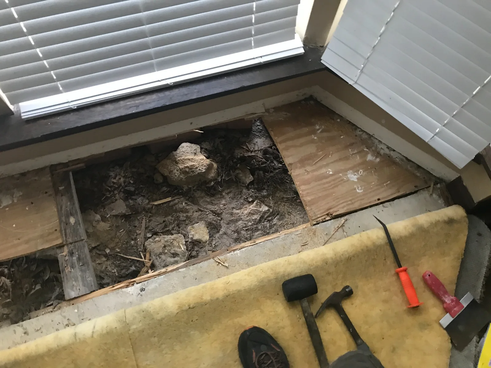 Subfloor Repair - Opened up