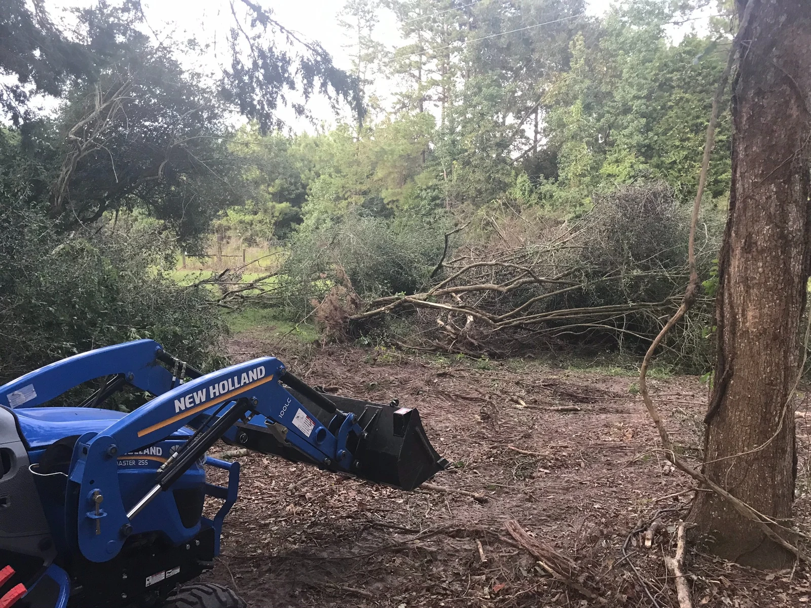 New Holland tractor in a wooded clearing
