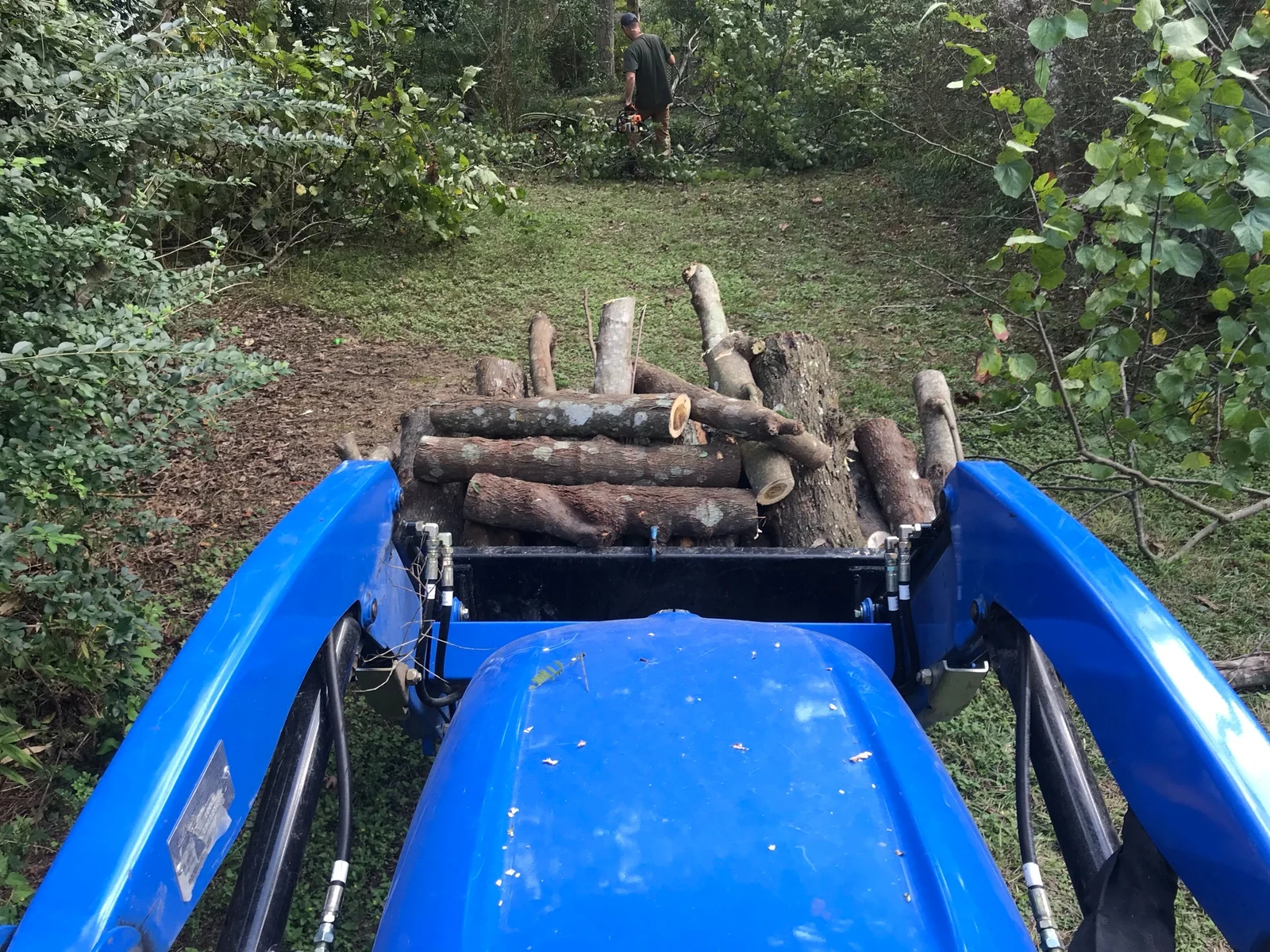 Tractor transporting cut logs through a wooded property